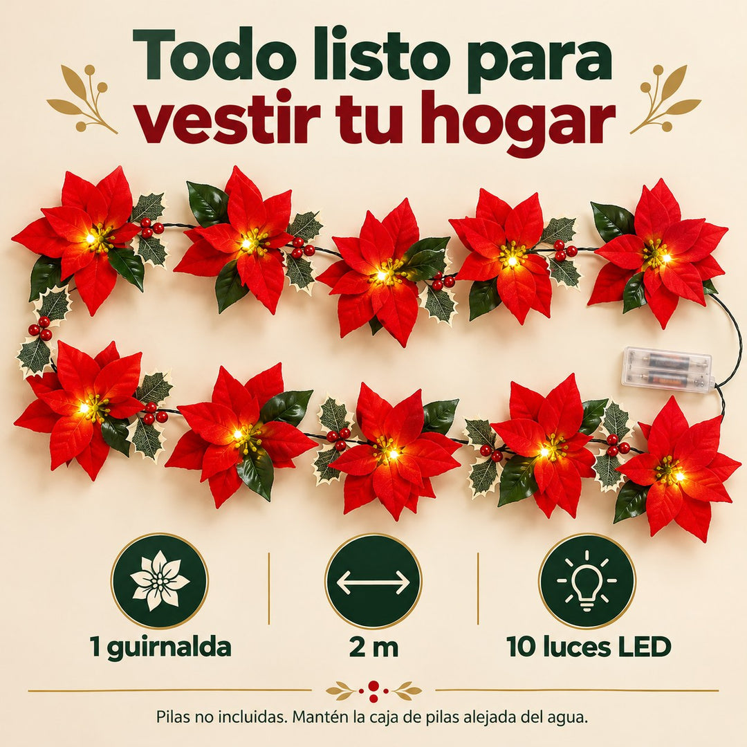 Contenido: 1 guirnalda de 2 m con 10 luces LED